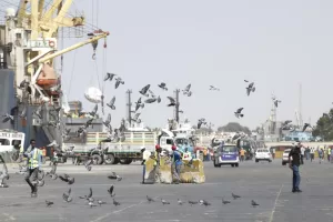 Corno d’Africa, lo scontro tra Somalia e Somaliland e il ruolo anti-Houthi di Usa, Emiratini e Sauditi