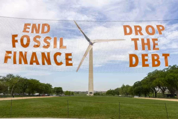Quando ecologia fa rima con economia
