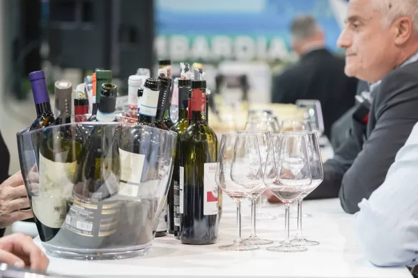 Vinitaly 2025: Nuove sfide, un grande successo