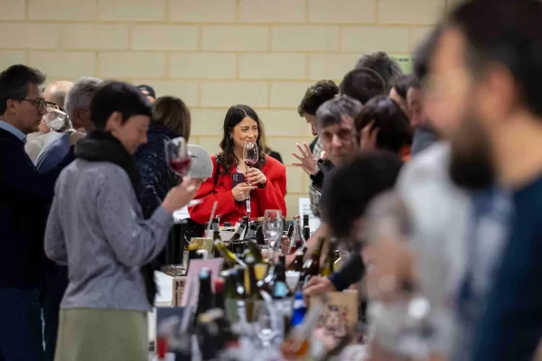 Dazi, vino italiano a rischio negli Usa