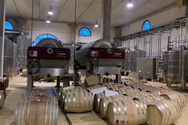 Feudi del Pisciotto, il fascino della Sicilia tra vino, storia e arte