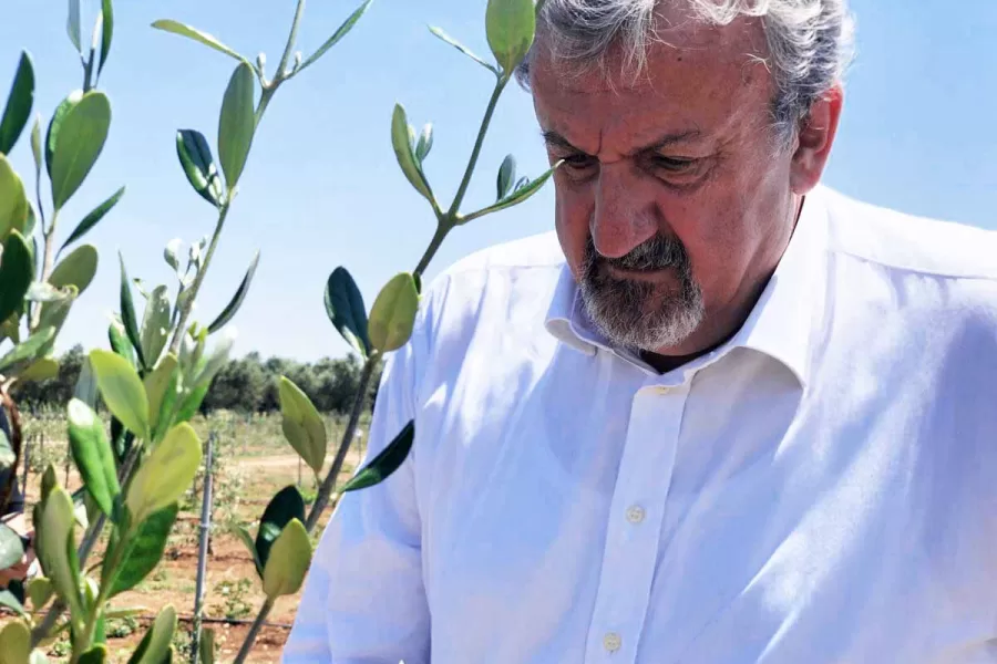 Odio d’oliva, la crociata di Emiliano contro Israele: il governatore e Conte medaglie d’oro della propaganda pro-Pal