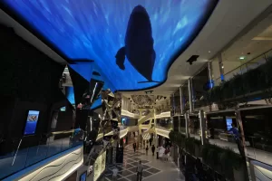 Dentro la nave Msc World Europa: l’area zen, il salone di bellezza e i 13 ristoranti. Nata con i Mondiali in Qatar