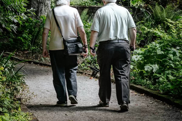 Pensioni, poca trasparenza dal governo: finiranno per essere decurtate. Oggi chi ha un lavoro se lo tiene stretto Pensioni, poca trasparenza dal governo: finiranno per essere decurtate. Oggi chi ha un lavoro se lo tiene stretto