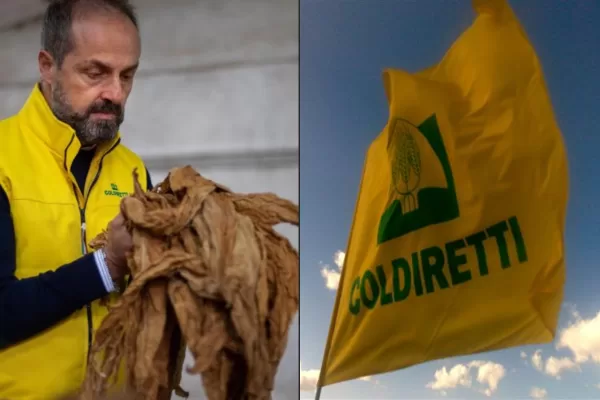 Masiello (UNITAB EUROPA): “Tabacco, filiera di eccellenza da tutelare. Serve una piattaforma europea”