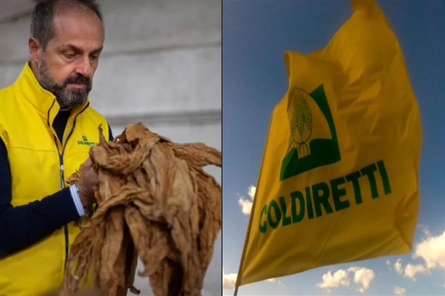 Masiello (UNITAB EUROPA): “Tabacco, filiera di eccellenza da tutelare. Serve una piattaforma europea”