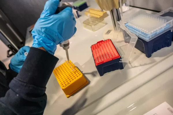 Donne: non rifatevi le tette, congelatevi gli ovuli Donne: non rifatevi le tette, congelatevi gli ovuli