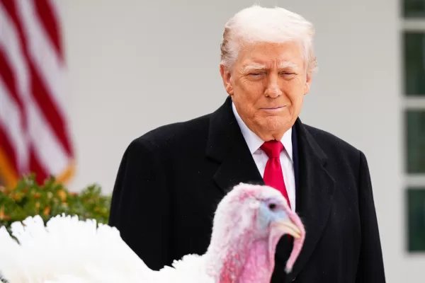 President Donald Trump pardons national Thanksgiving turkey Gobble during a ceremony in the Rose Garden of the White House, Tuesday, Nov. 25, 2025, in Washington. (AP Photo/Julia Demaree Nikhinson) 



Associted Press / LaPresse
Only italy and spain