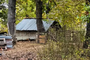 Famiglia del bosco, i 150mila euro richiesti dai genitori e l’intervento del tribunale. Perché non succede per i campi rom? Famiglia del bosco, i 150mila euro richiesti dai genitori e l’intervento del tribunale. Perché non succede per i campi rom?