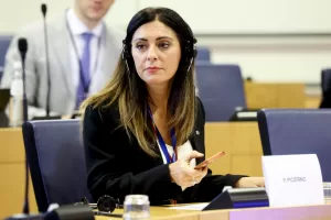 PINA PICIERNO VICEPRESIDENTE PE PINA PICIERNO VICEPRESIDENTE PE