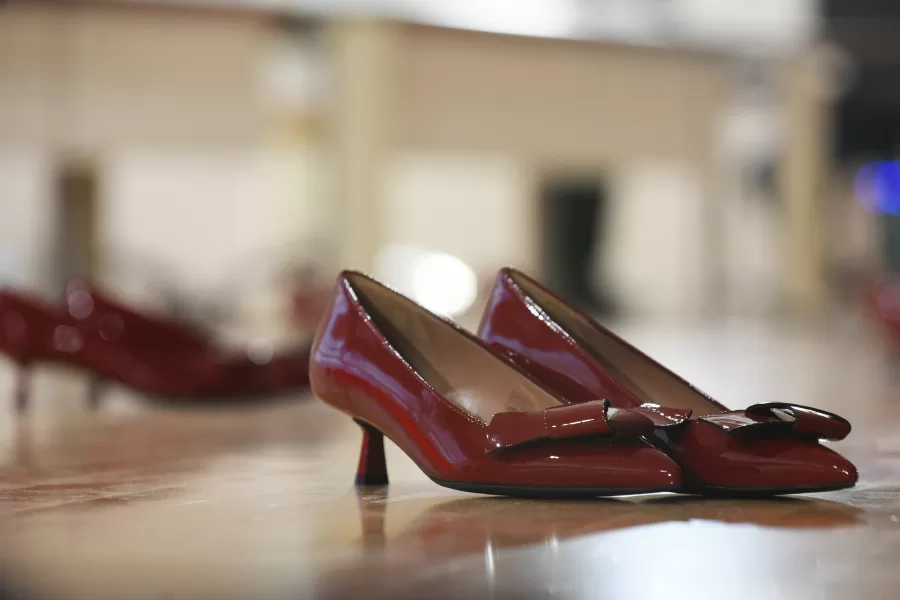 ISTITUTO  LICEO SCIENTIFICO  STATALE  ENRICO FERMI   SEMINARIO SULLA GIORNATA INTERNAZIONALE PER L’ELIMINAZIONE DELLA VIOLENZA CONTRO LE DONNE   SCARPE  ROSSE