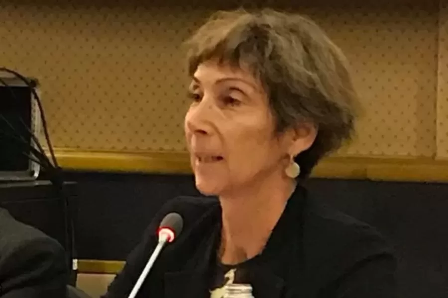 Violenza sessuale, la prof Bertolino: “Dato inizio a un rapporto non è che uno si ferma per vedere la fattispecie incriminatrice”