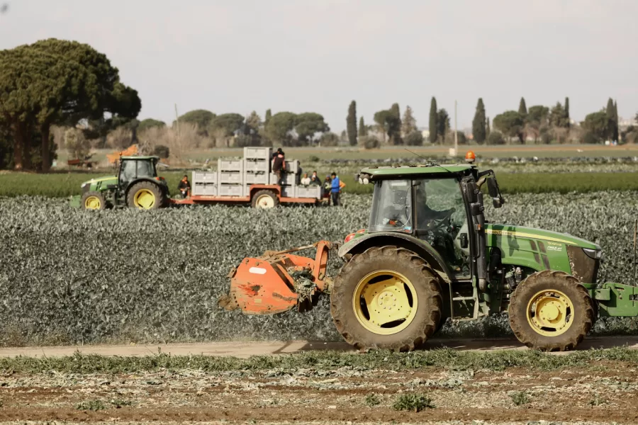 Agricoltura e sicurezza alimentare: l’Europa rischia di sottovalutarle