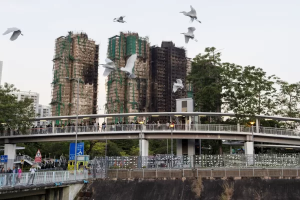 Birds fly past charred buildings burnt after a deadly fire that started Wednesday at Wang Fuk Court, a residential estate in the Tai Po district of Hong Kong’s New Territories, Friday, Nov. 28, 2025. (AP Photo/Ng Han Guan)