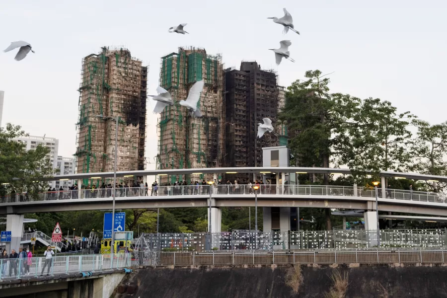 Birds fly past charred buildings burnt after a deadly fire that started Wednesday at Wang Fuk Court, a residential estate in the Tai Po district of Hong Kong’s New Territories, Friday, Nov. 28, 2025. (AP Photo/Ng Han Guan)
