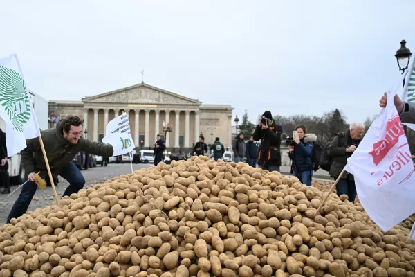 Farmers plant unions flags on a pile of potatoes in front of the National Assembly as they protest the Mercosur EU trade deal with South America they fear threatens their livelihoods, Tuesday, Jan. 13, 2026, outside the National Assembly in Paris. (AP Photo/Emma Da Silva)





Associate Press/ LaPresse
Only Italy and Spain