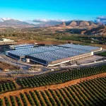 COGENIO AZIENDA INDUSTRIA ENERGETICA ENERGIA FOTOVOLTAICA FOTOVOLTAICO PANNELLO SOLARE PANNELLI SOLARI