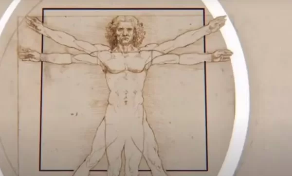 Hanno tolto i genitali al vitruviano