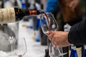 VINITALY 2025 SALONE INTERNAZIONALE DEL VINO E DEI DISTILLATI VINI  CALICE CALICI DEGUSTAZIONE ROSSO ASSAGGIO