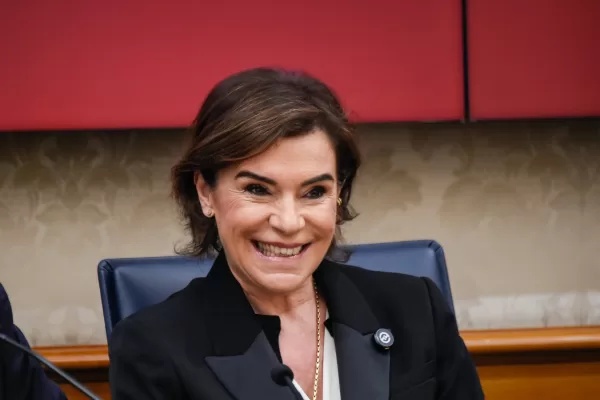 ELISABETTA GUALMINI AZIONE