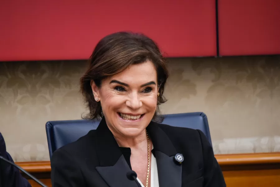 ELISABETTA GUALMINI AZIONE