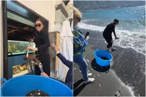 Turiste americane comprano astici di un ristorante e li liberano in mare, ma la rete si scatena