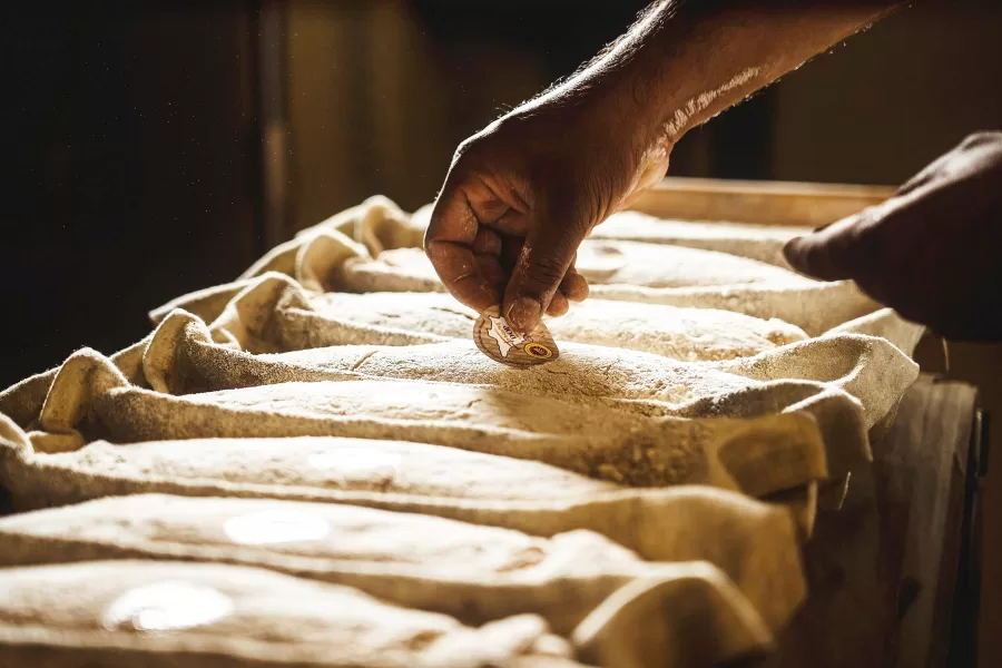 PANE TOSCANO DOP PANE SCIOCCO PANETTERIA ALIMENTO ALIMENTI PRODOTTO PRODOTTI ALIMENTARI TRADIZIONALI DENOMINAZIONE ORIGINE PROTETTA FARINA FARINE CONSORZIO