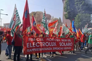 MANIFESTAZIONE REGIONALE FIOM CGIL IN OCCASIONE DELLO SCIOPERO NAZIONALE FOLLA BANDIERE MANIFESTANTI BANDIERA STRISCIONI STRISCIONE FUMOGENO FUMOGENI FIM-CISL UILM-UIL ELECTROLUX SOLARO RAPPRESENTANZA SINDACALE UNITARIA MANIFESTAZIONE REGIONALE FIOM CGIL IN OCCASIONE DELLO SCIOPERO NAZIONALE FOLLA BANDIERE MANIFESTANTI BANDIERA STRISCIONI STRISCIONE FUMOGENO FUMOGENI FIM-CISL UILM-UIL ELECTROLUX SOLARO RAPPRESENTANZA SINDACALE UNITARIA