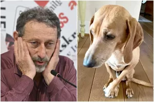 Il cane di Michele Serra sbranato dai lupi, il giornalista piange il suo “Osso” Il cane di Michele Serra sbranato dai lupi, il giornalista piange il suo “Osso”