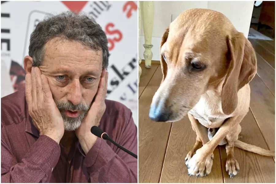 Il cane di Michele Serra sbranato dai lupi, il giornalista piange il suo “Osso”