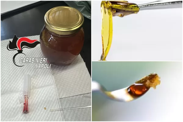 Che cos’è il miele dello sballo, il concentrato di marijuana che viene acquistato online: 17enne di Napoli in fin di vita Che cos’è il miele dello sballo, il concentrato di marijuana che viene acquistato online: 17enne di Napoli in fin di vita