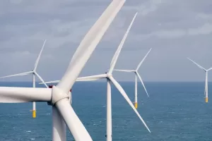 L’eolico offshore leva per la crescita, Mamone Capria: “Un euro in più in bolletta non è un costo ma un investimento, il governo deve parlare chiaro”