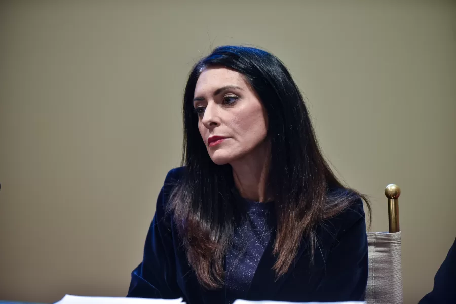 PINA PICIERNO POLITICO