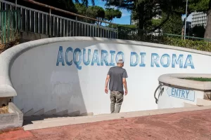 L’acquario di Roma è un fantasma: vent’anni di promesse affondate sotto il laghetto dell’Eur
