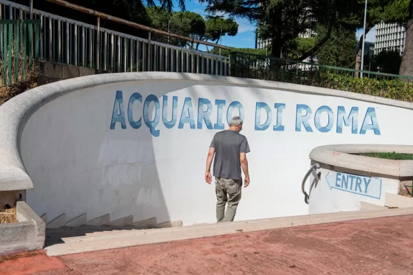 L’acquario di Roma è un fantasma: vent’anni di promesse affondate sotto il laghetto dell’Eur