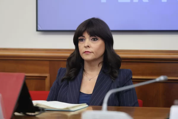 ALICE BUONGUERRIERI, POLITICA