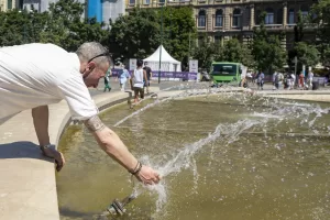 Più alberi, meno asfalto (che restituisce il caldo): così Milano può abbassare la temperatura di 4 °C Più alberi, meno asfalto (che restituisce il caldo): così Milano può abbassare la temperatura di 4 °C