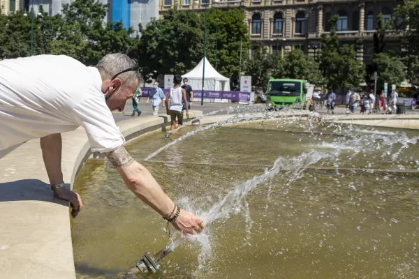 Più alberi, meno asfalto (che restituisce il caldo): così Milano può abbassare la temperatura di 4 °C