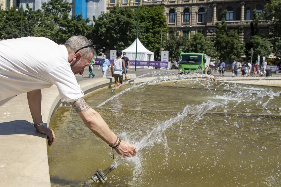 Più alberi, meno asfalto (che restituisce il caldo): così Milano può abbassare la temperatura di 4 °C