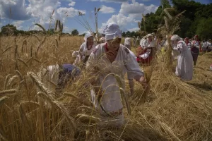 Ukrainian women wearing national costumes reap wheat with sickles as they reconstruct an ancient rite to mark the wheat harvesting festival in the village of Pyrohiv close to Kyiv, Ukraine, Sunday, July 13, 2025. (AP Photo/Efrem Lukatsky)
Associated Press / LaPresse
Only italy and spain Ukrainian women wearing national costumes reap wheat with sickles as they reconstruct an ancient rite to mark the wheat harvesting festival in the village of Pyrohiv close to Kyiv, Ukraine, Sunday, July 13, 2025. (AP Photo/Efrem Lukatsky)
Associated Press / LaPresse
Only italy and spain